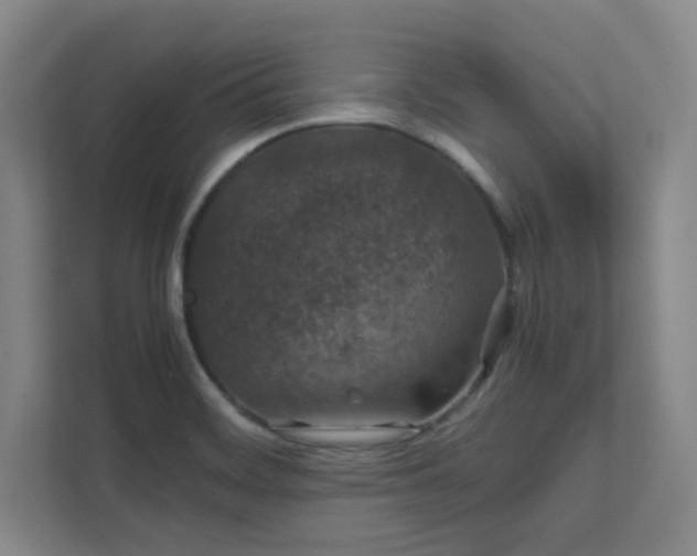 X0000112011468200908101332