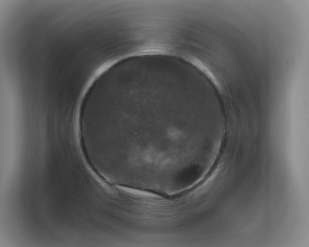 X0000112011469200908101332