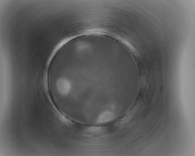 X0000112011470200908101332