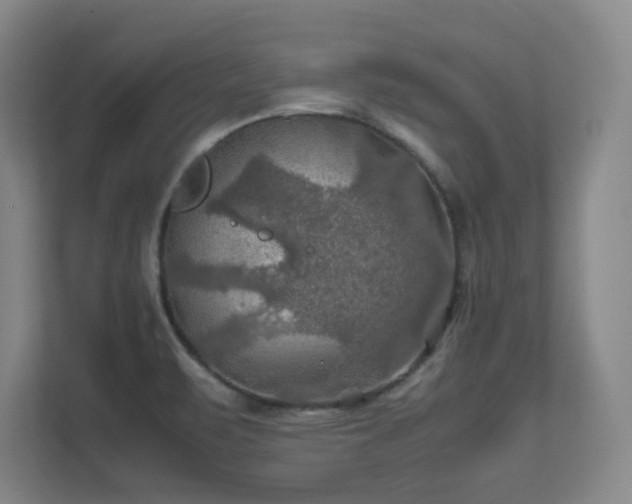 X0000112011471200908101332