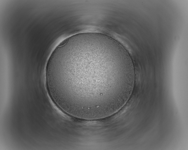 X0000112011479200908101332