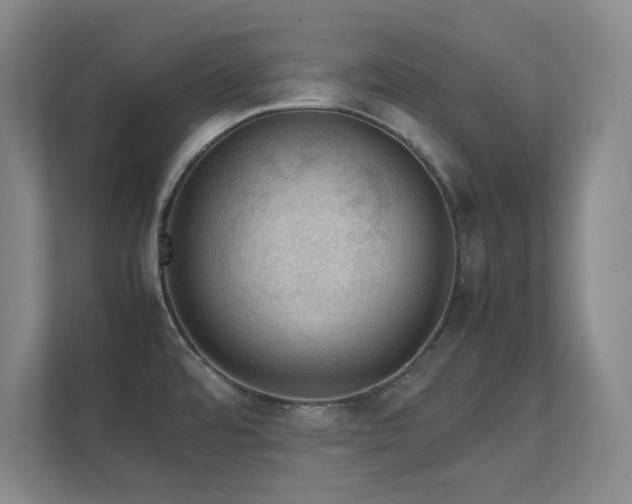 X0000112011480200908101332