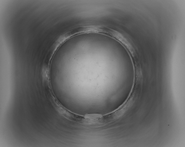 X0000112011481200908101332