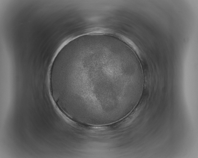 X0000112011483200908101332