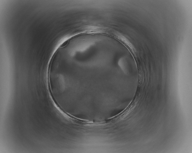 X0000112011487200908101332