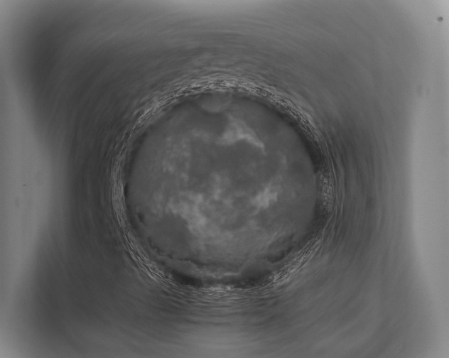 X0000112011489200908101331