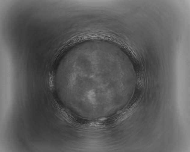 X0000112011490200908101331