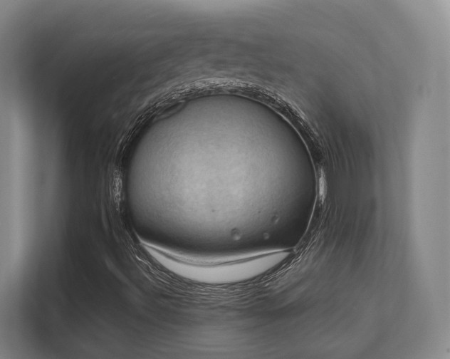 X0000112011492200908101331