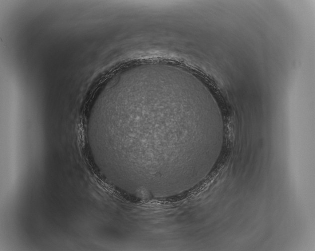 X0000112011493200908101331