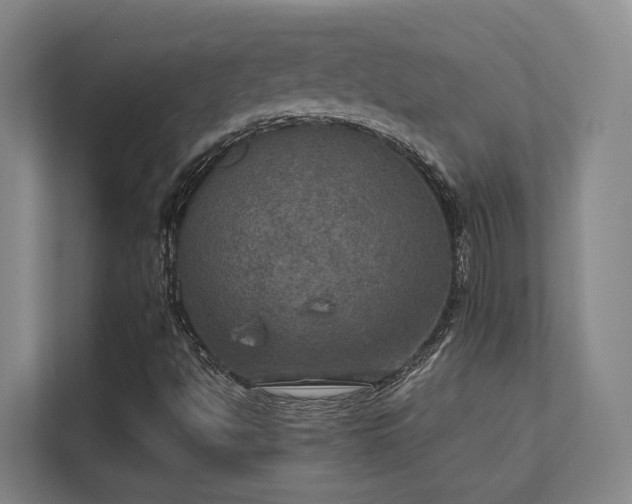 X0000112011494200908101331