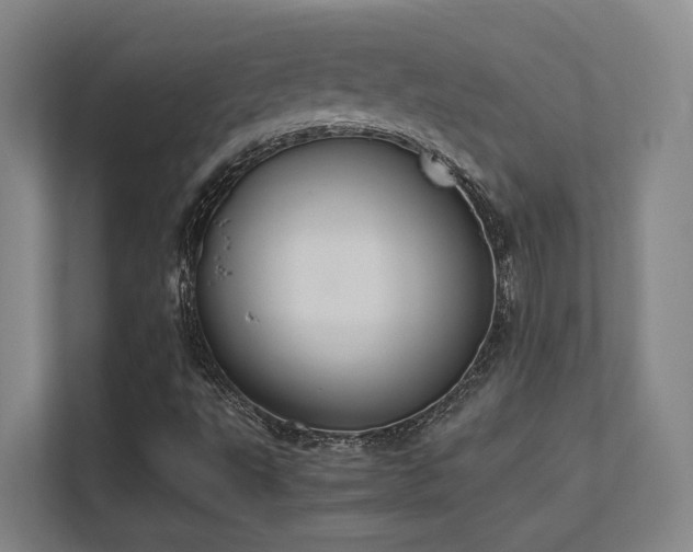 X0000112011495200908101331