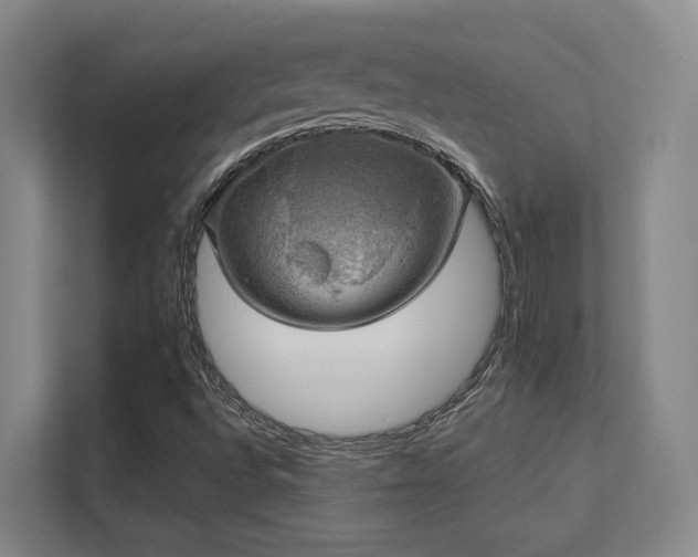 X0000112011496200908101331