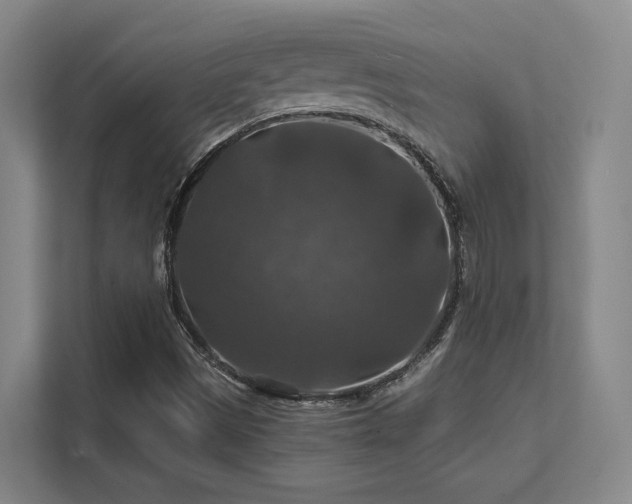 X0000112011497200908101331