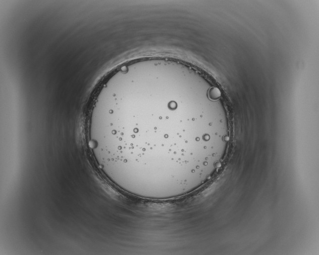 X0000112011498200908101331