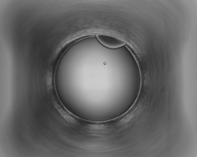 X0000112011499200908101331