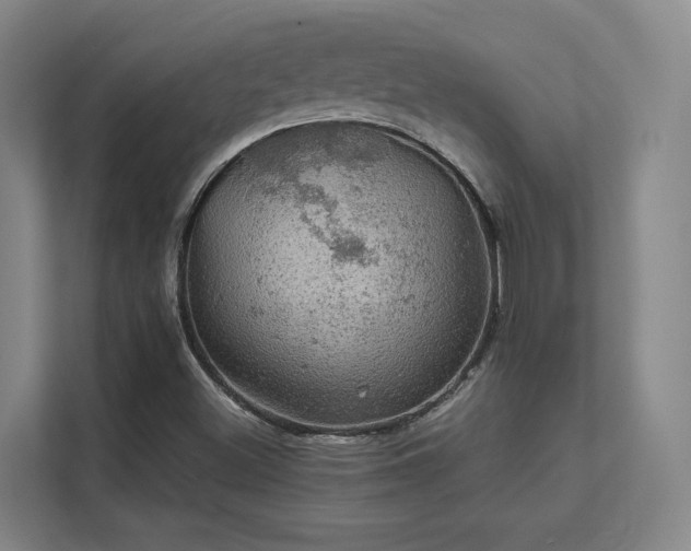 X0000112011500200908101331