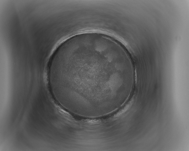 X0000112011501200908101331