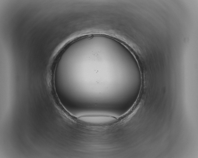 X0000112011502200908101331