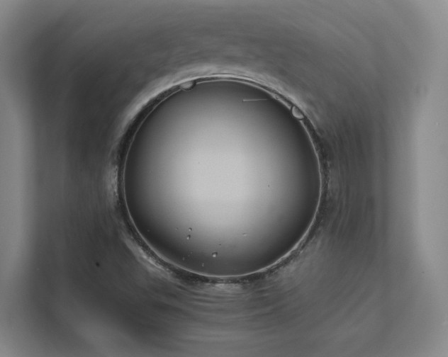 X0000112011503200908101331