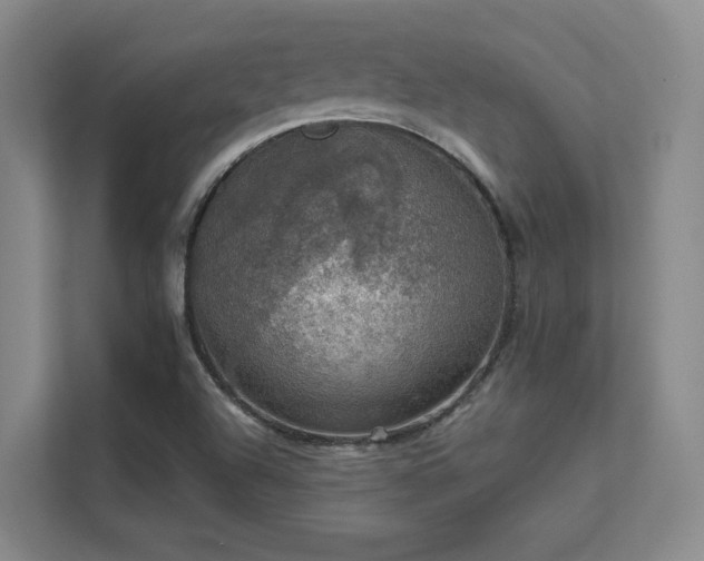 X0000112011504200908101331