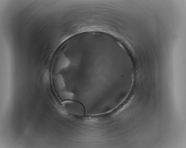 X0000112011505200908101331