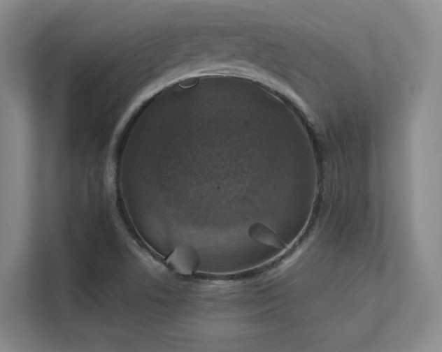 X0000112011506200908101331