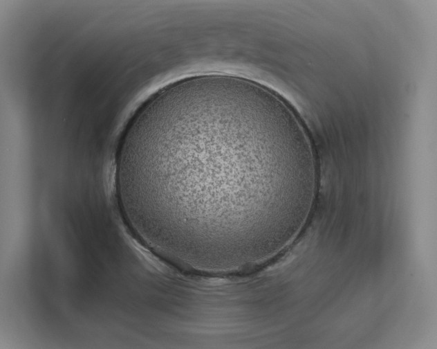 X0000112011507200908101331