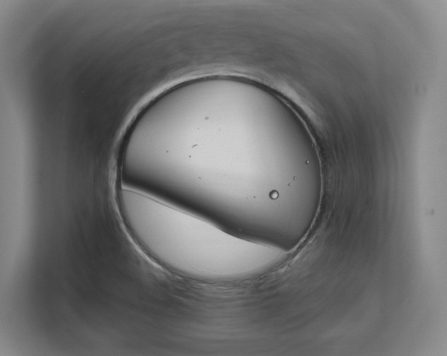 X0000112011508200908101331