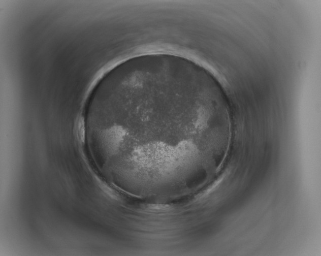 X0000112011509200908101331