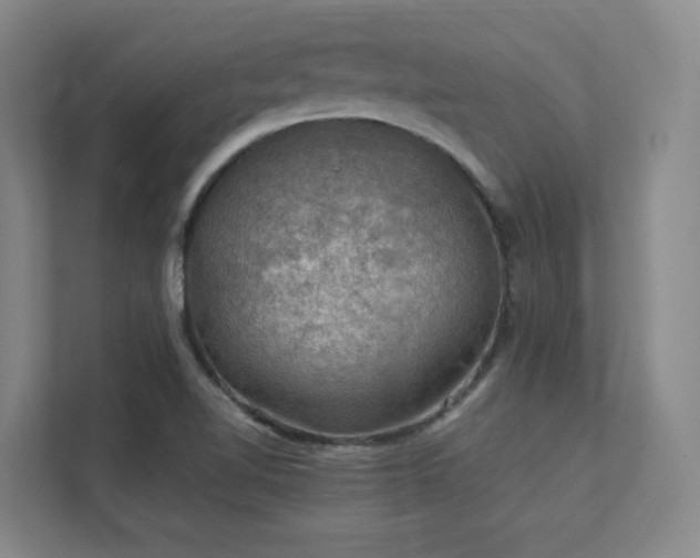 X0000112011510200908101331