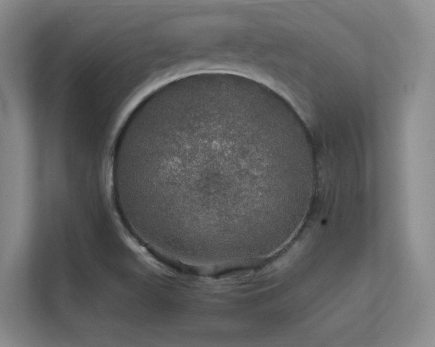 X0000112011511200908101331