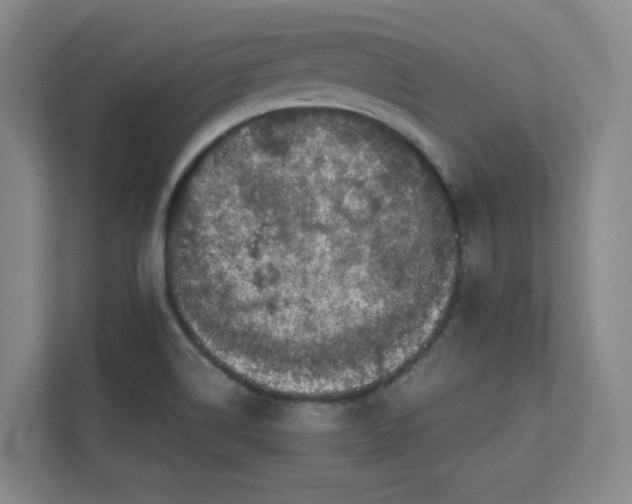 X0000112011514200908101332