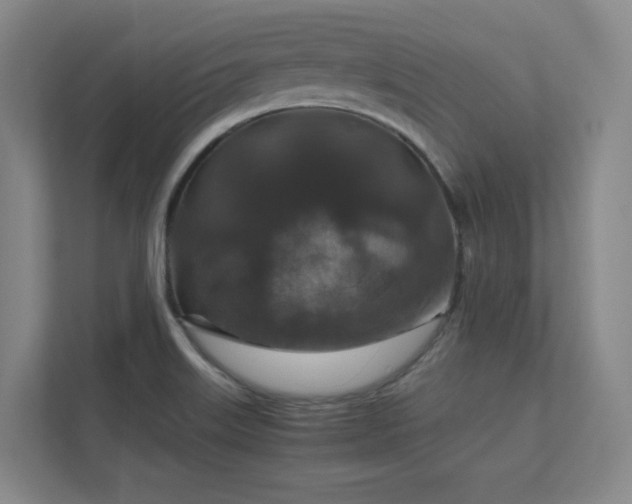 X0000112011515200908101332