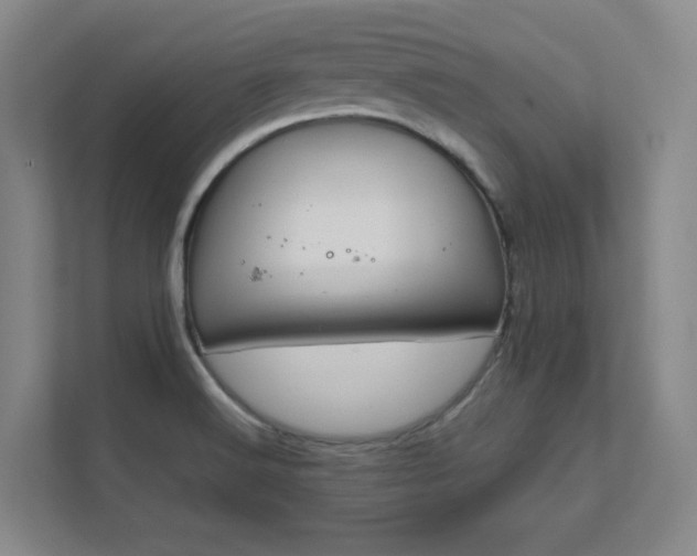 X0000112011516200908101332