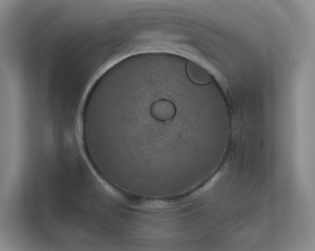 X0000112011517200908101332