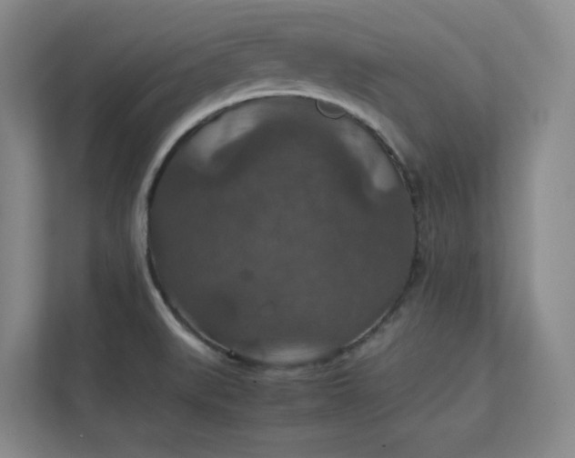 X0000112011519200908101332