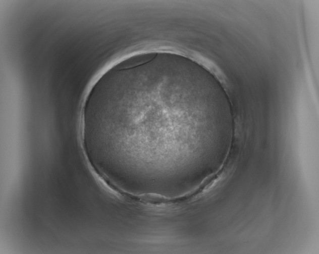 X0000112011520200908101332