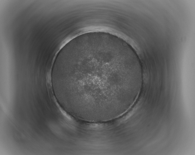 X0000112011521200908101332