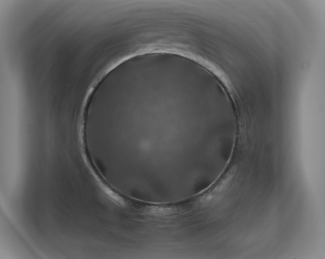 X0000112011525200908101332