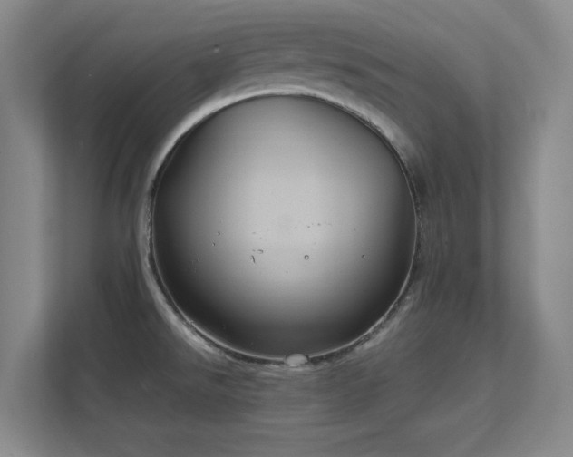 X0000112011526200908101332