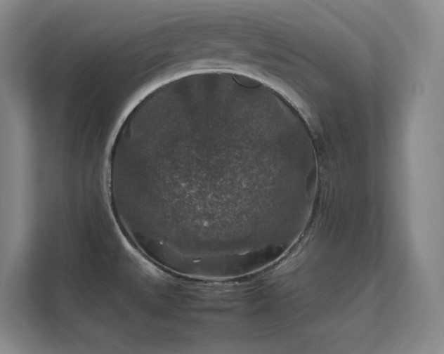 X0000112011527200908101332