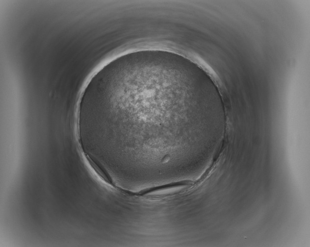 X0000112011528200908101332