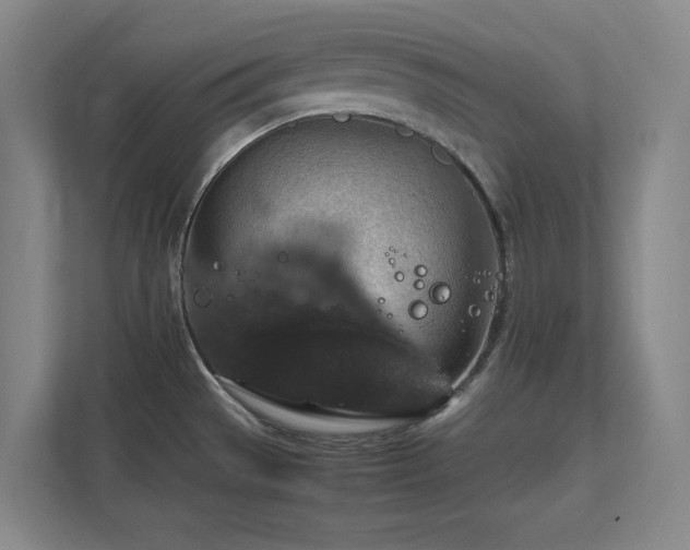 X0000112011529200908101332