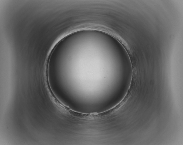 X0000112011530200908101332