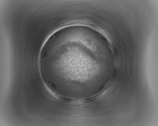 X0000112011532200908101332