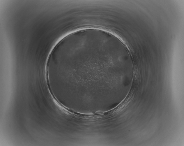 X0000112011535200908101332