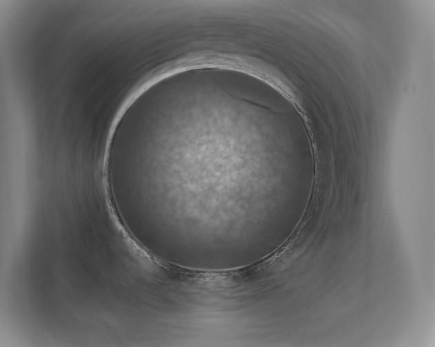 X0000112011536200908101332