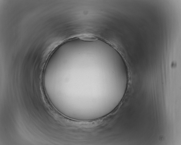 X0000112010001200908171454