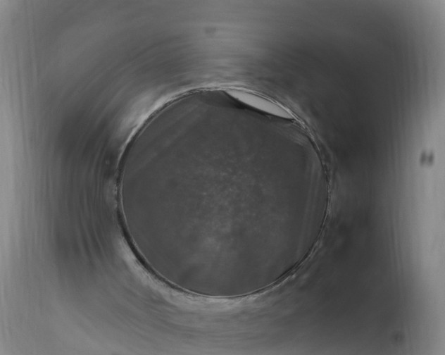 X0000112010002200908171454