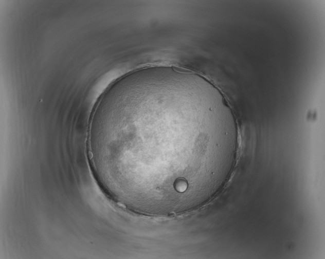 X0000112010003200908171454